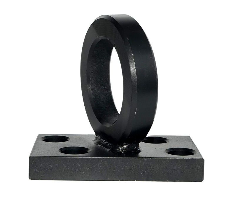 Lifting ring-2